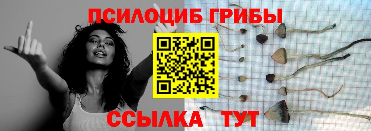 Галлюциногенные грибы Magic Shrooms Ишим