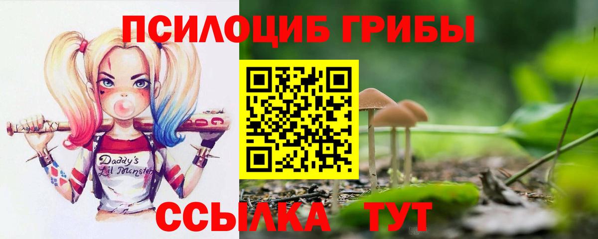 Псилоцибиновые грибы ЛСД  Вход с VPN  Ишим 